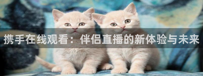 nba直播比赛观看乐球：携手在线观看：伴侣直播的新体验与未来