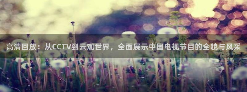 雨燕乐球直播：高清回放：从CCTV到云观世界，全面展示中国电视节目的全貌与风采