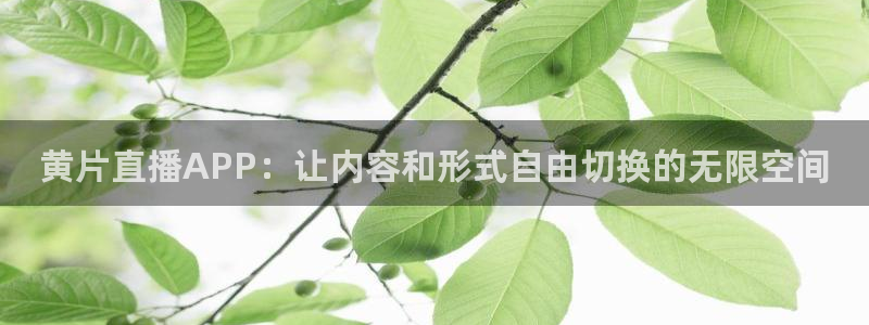 nba篮球比赛免费直播乐球：黄片直播APP：让内容和形式自由切换的无限空间
