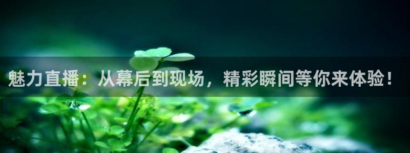 nba直播免费观看乐球：魅力直播：从幕后到现场，精彩瞬间等你来体验！