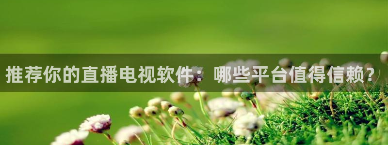 乐球吧高清直播：推荐你的直播电视软件：哪些平台值得信赖？